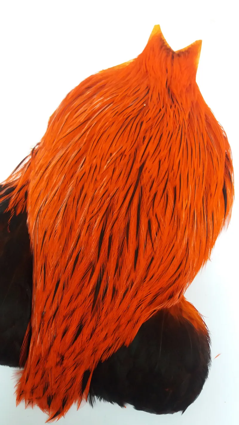 The Lakeland Brahma Rooster Cape in Silver Badger Dyed Orange  from Whiting Farms-7